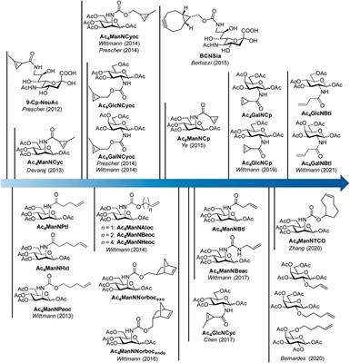 Application of the Inverse-Electron-Demand Diels-Alder Reaction for Metabolic Glycoengineering